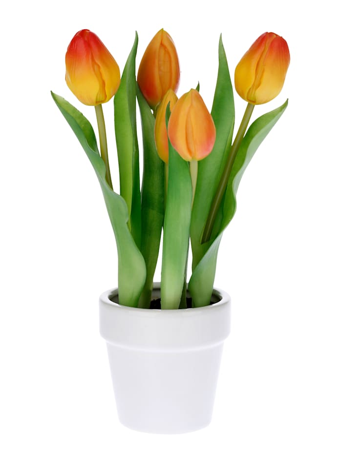 Image of Tulpen im Keramiktopf Gasper Orange
