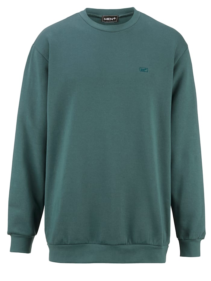 Image of Sweatshirt Men Plus Salbeigrün