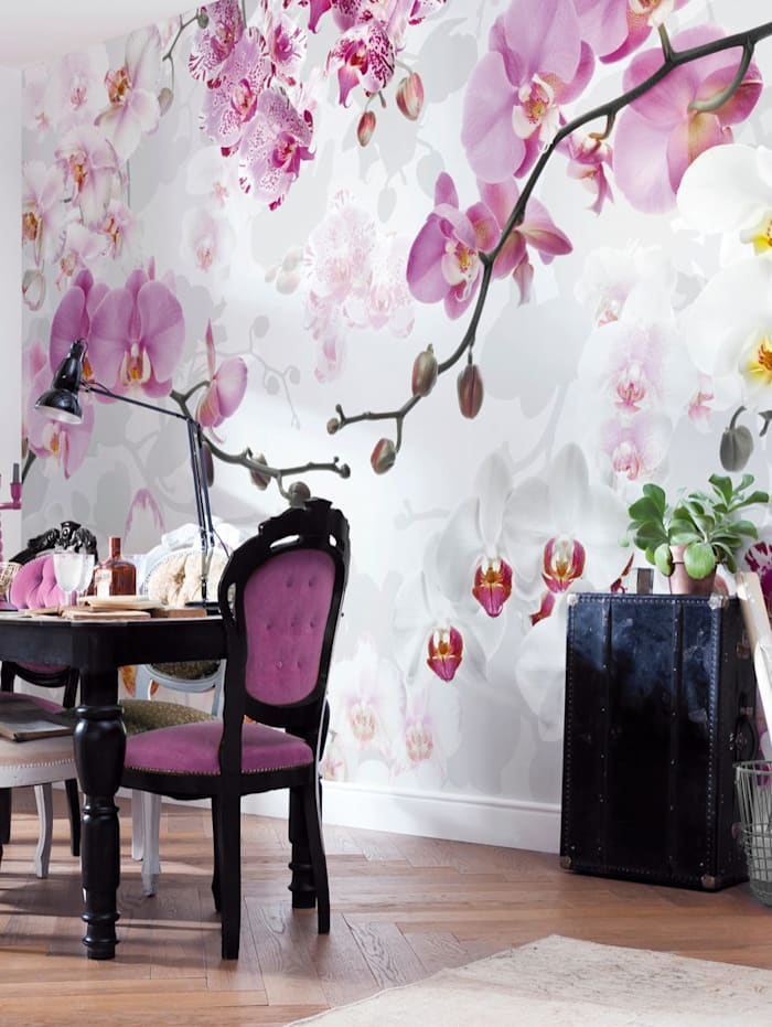 Image of Fototapete 'Orchideen' Komar Multicolor