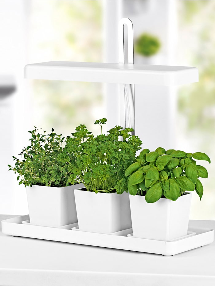 Lampe pour plantes à LED DS Produkte Blanc