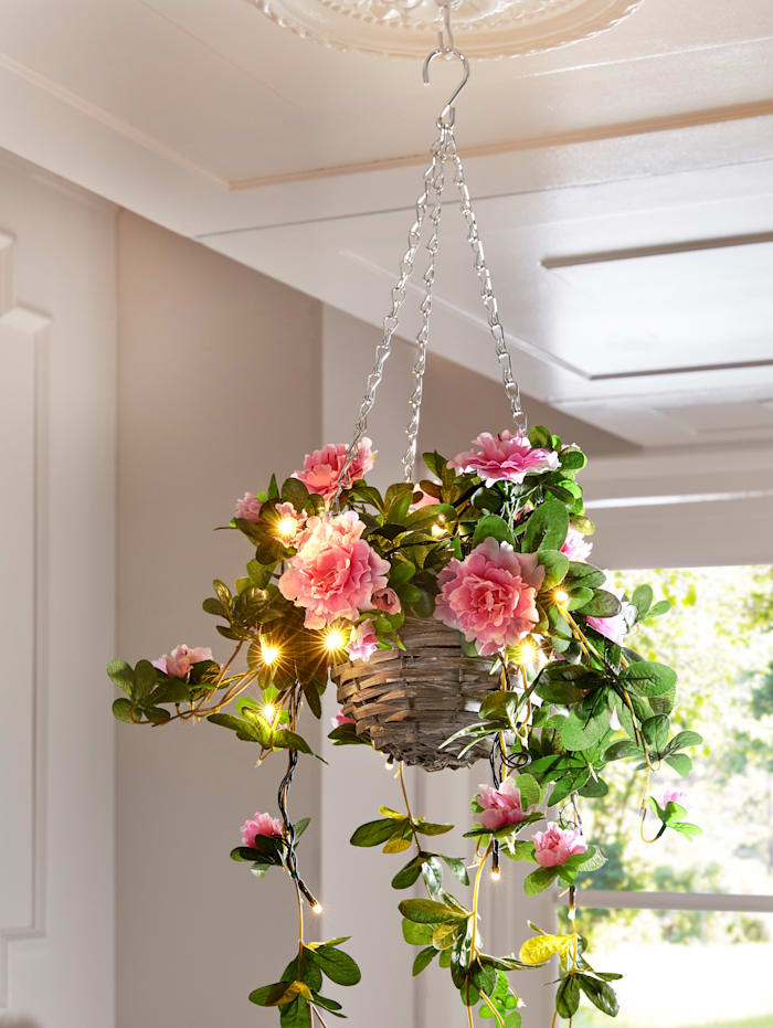 Azalea in hanging basket Roze