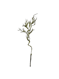 Moos Zweig Hellgrün 106 cm Kunstpflanze Flora