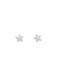 1 Paar 925 Silber Ohrringe / Ohrstecker Seestern