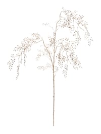 Branche à petites feuilles