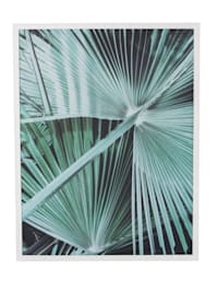 Image encadrée, feuilles palmier