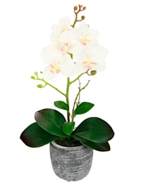 Orchidée artificielle dans pot, crème