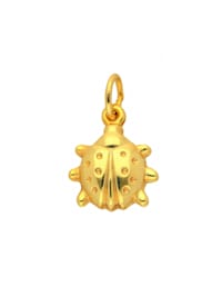 585 Gold Anhänger Marienkäfer - Set mit Halskette