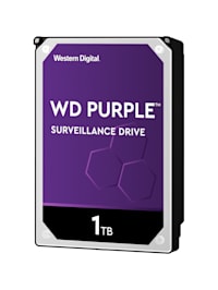 Festplatte Purple 1 TB