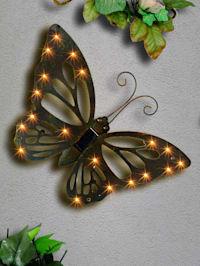 Solar-Schmetterling