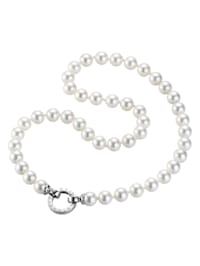 Kette Muschelkern-Perlen, Ringverschluss, Silber 925