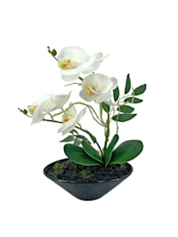 Kunstblume Orchidee in Schale Leilani