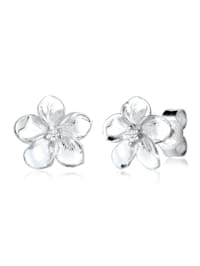 Ohrringe Frangipani Blüte Diamant Blume 925 Silber