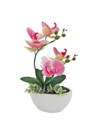 Kunstblume Orchidee pink in Schale Leilani