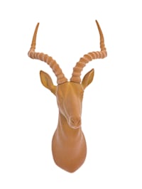 Wand-Deko, Antilope
