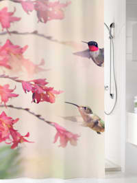 Rideau de douche "colibri