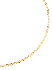 Ankerkette in Gelbgold in Gelbgold 585 60 cm