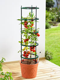 Tomaten-Pflanzentopf