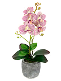 Orchidée artificielle dans pot, fuchsia