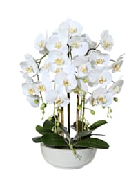 Kunstpflanze Orchidee