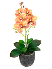 Orchidée artificielle dans pot, orange