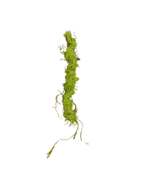 Moos Girlande 110 cm Kunstpflanze Flora
