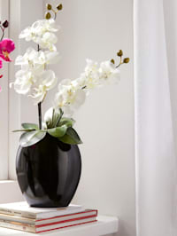 Orchidee in schwarzer Vase