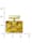 Anhänger - Gleiter-Classic 21x14 mm - Gold 333/000 - Bernstein