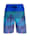 Wavebreaker Zwemshort met print, Blauw