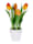 Gasper Tulpen im Keramiktopf, Orange