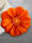 Grund Bademattenserie 'Blüte', Orange
