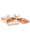 MediaShop Livington 14in1 Kochwunder 'Copperline WonderCooker Deluxe' - Doppelbräter inkl. Glasdeckel, Copper Crisper Gittereinsatz & 2 Frittier-/Pastakörbe, Kupferfarben