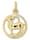 One Element Sternzeichen Anhänger Steinbock aus 333 Gelbgold, gold
