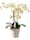 Living Kunstpflanze Orchideentopf Elegance, Standard