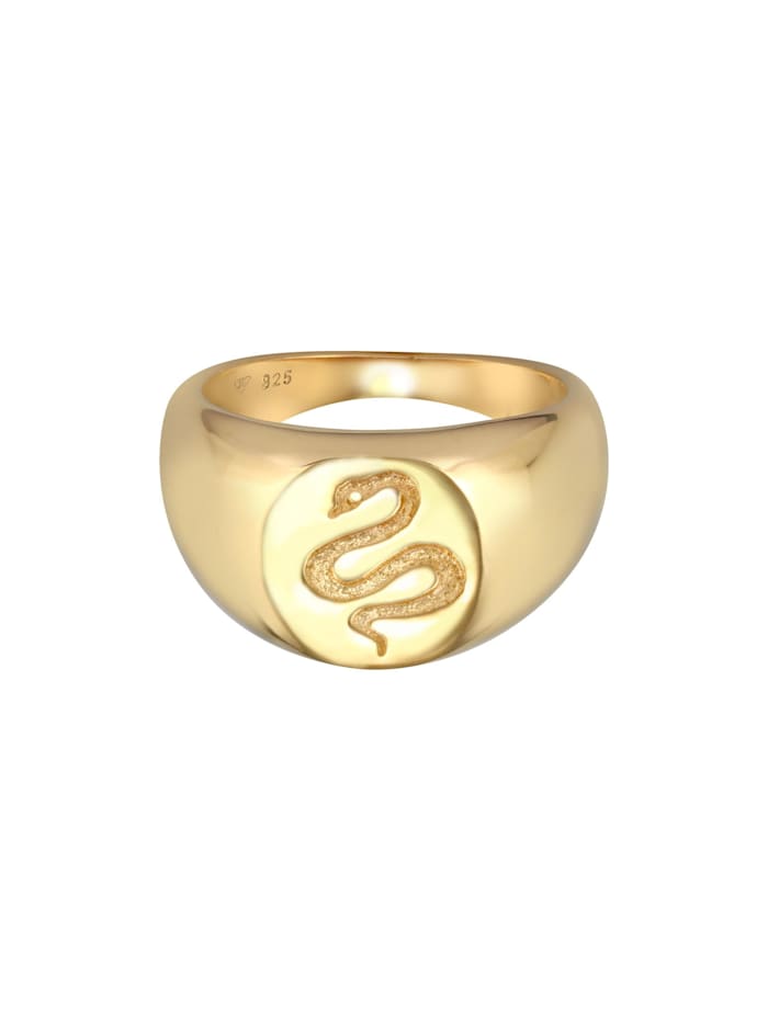 Ring Siegelring Schlange Kraft Symbol 925 Silber