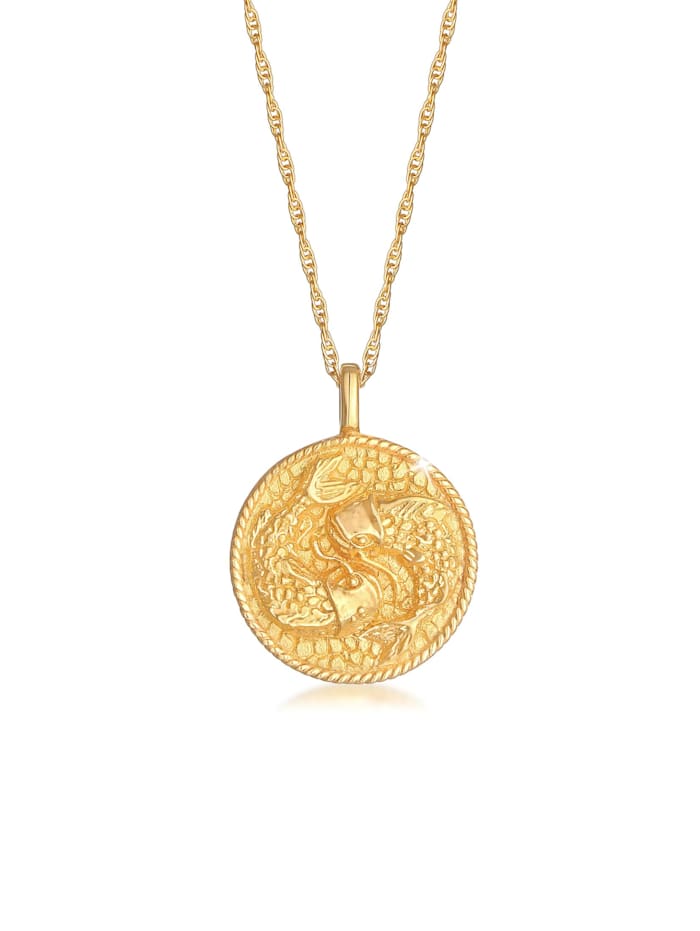 Elli Halskette Sternzeichen Fisch Astro Münze 925 Silber, Gold