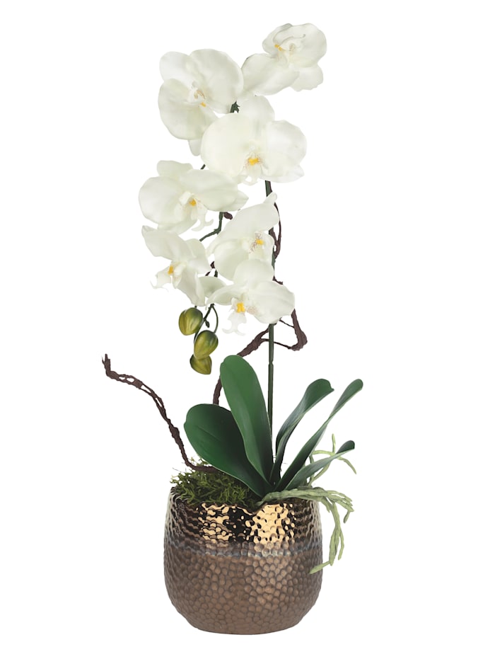 IGEA Composition Orchidée, Blanc