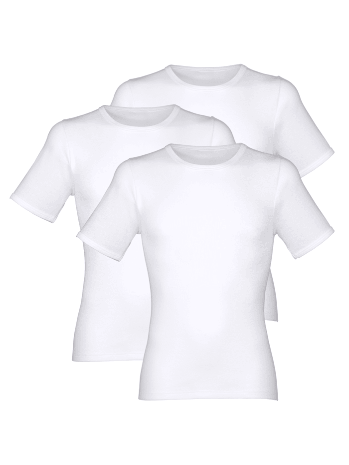 Pfeilring Hemden per 3 stuks van merkkwaliteit, 3x wit