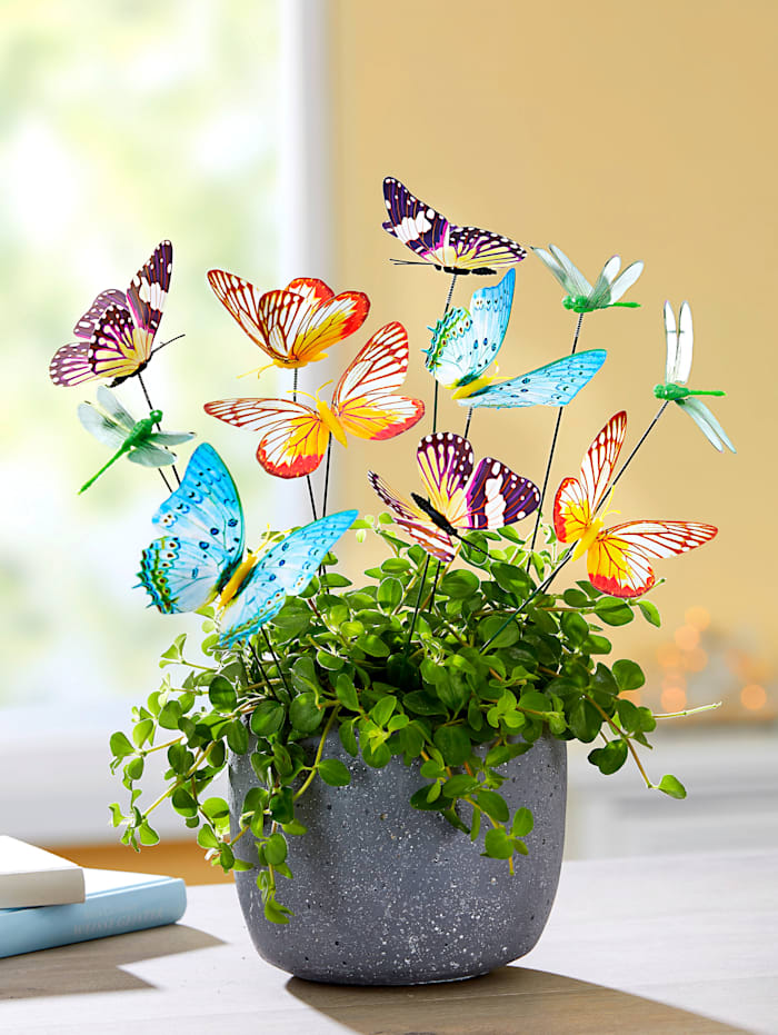 TRI Schmetterlings-Zauber, Multicolor