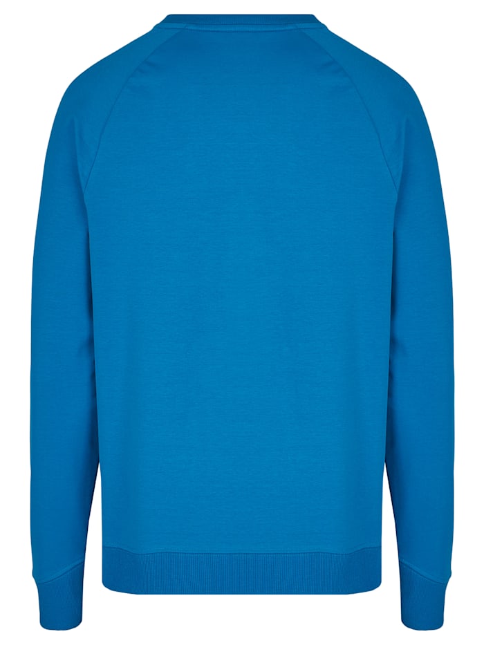 Softer Rundhals-Sweater