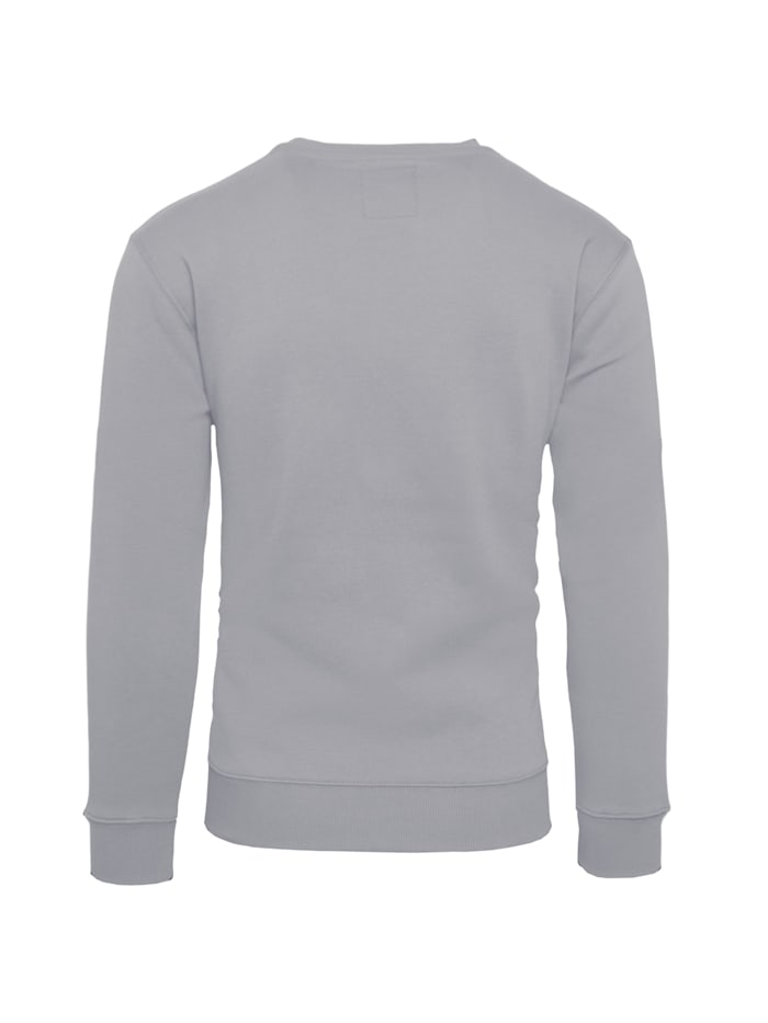 Sweatshirt Basic Sweater