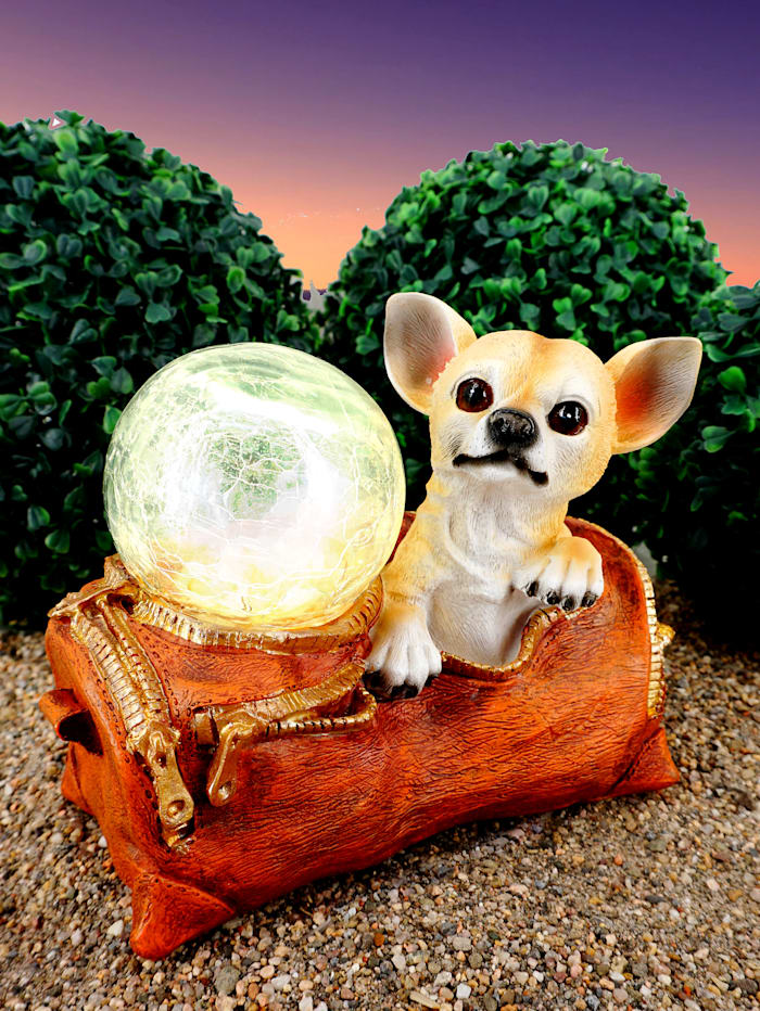 Schwartinsky Solarleuchte Chihuahua, Orange