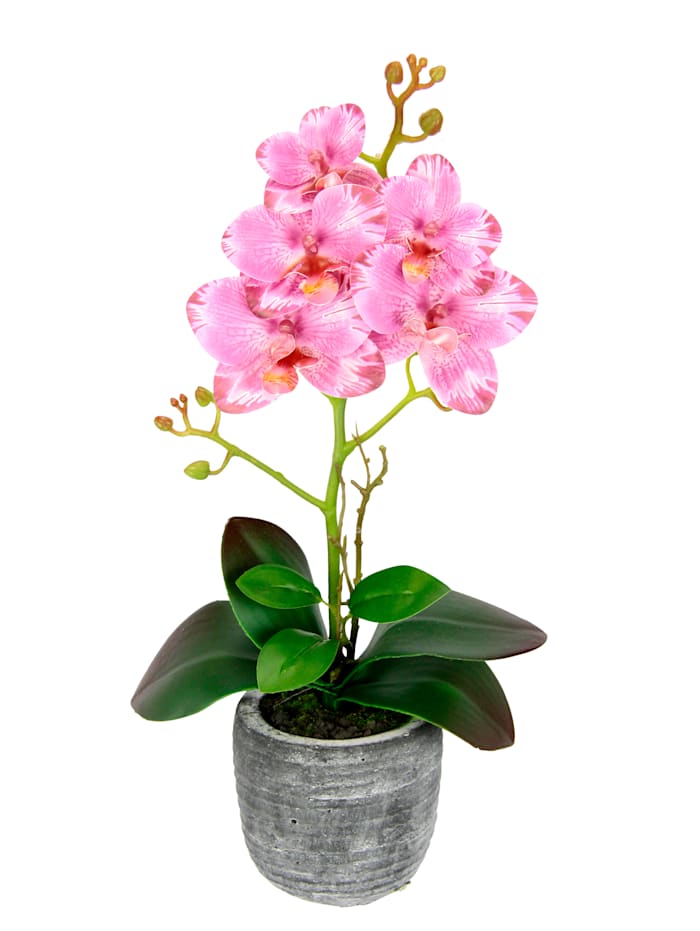 IGEA Orchidée artificielle dans pot, Rose