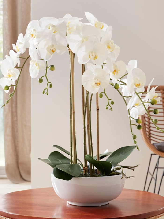 Gasper Kunstpflanze Orchidee, Weiß
