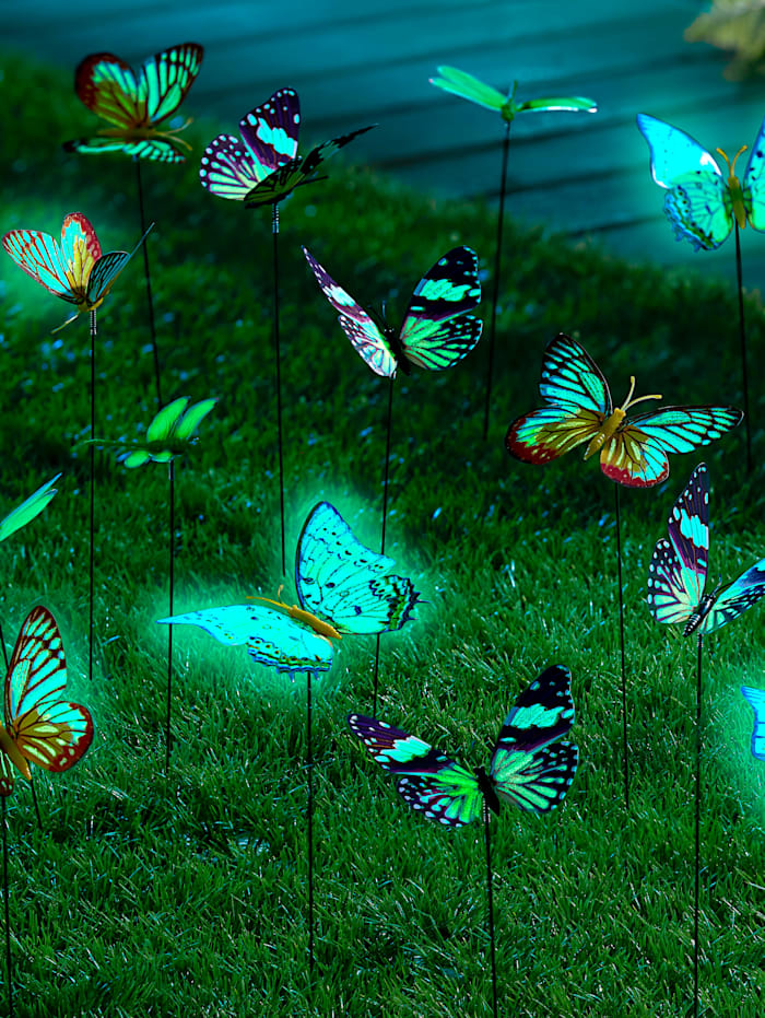 Schmetterlings-Zauber