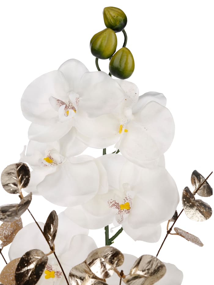 Arrangement Orchideen