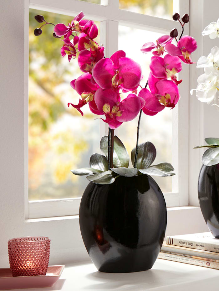 passend Springplank credit Orchidee in zwarte vaas | Klingel