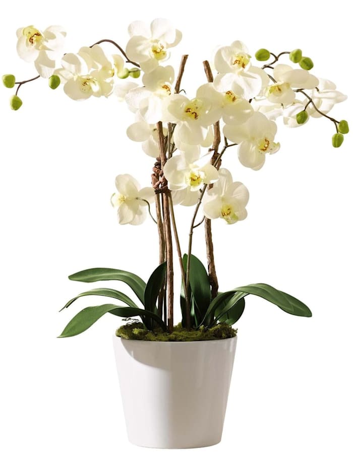 Living Kunstpflanze Orchideentopf Elegance, Weiß