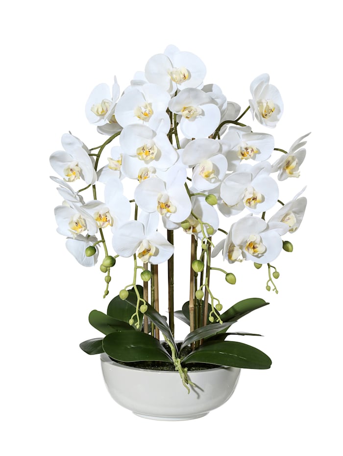 Globen Lighting Kunstpflanze Orchidee, Weiß