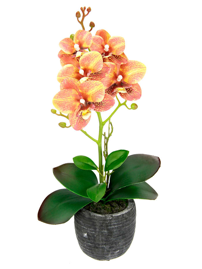 Orchidée artificielle dans pot, orange, Orange